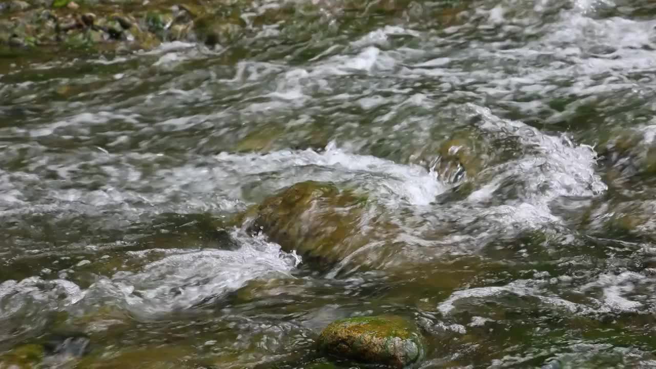 溪流视频素材