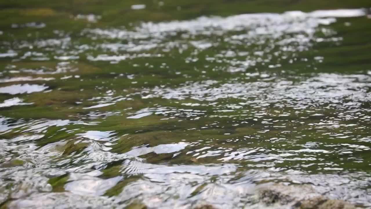 溪流视频素材