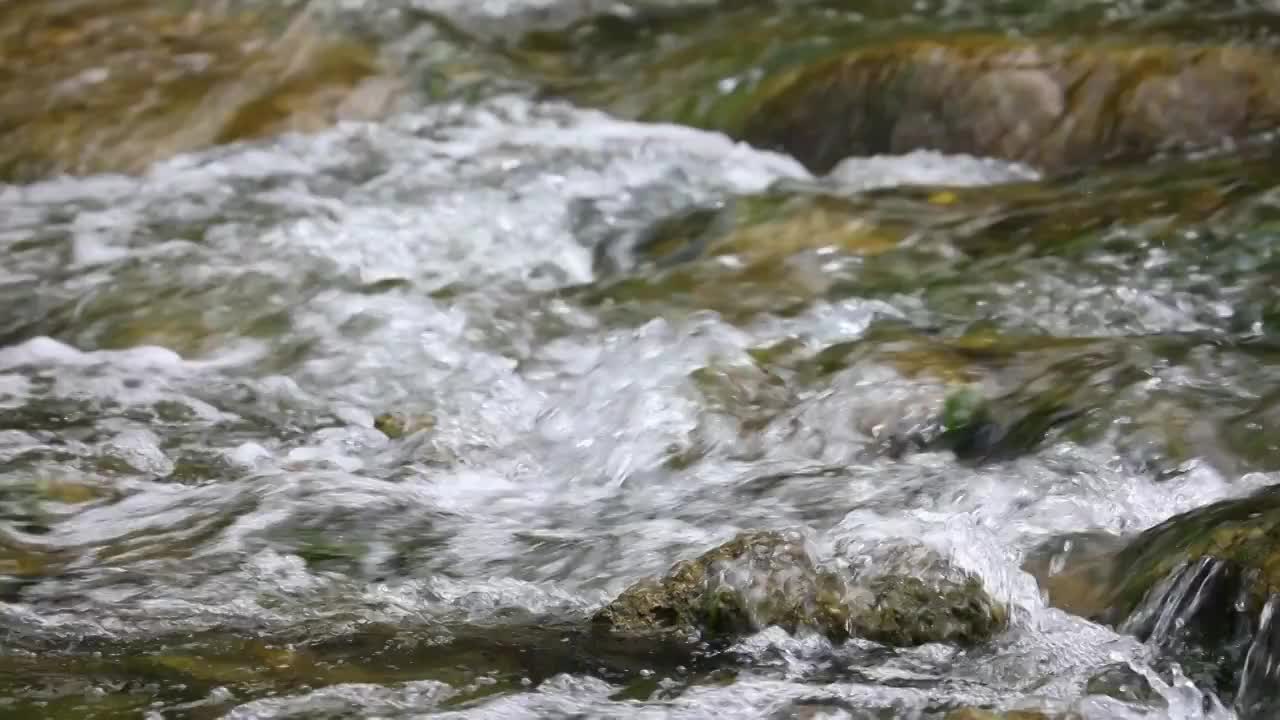 溪流视频素材