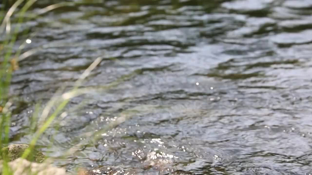 溪流视频素材