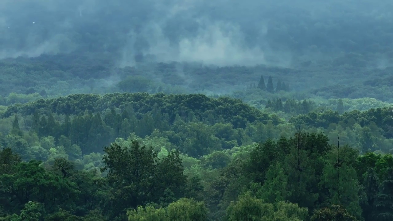 郁郁葱葱云雾缭绕的南京紫金山视频素材