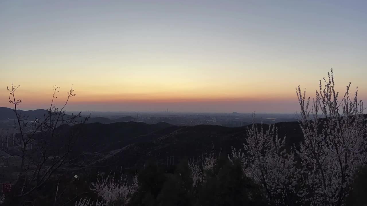 北京西山日出风中的桃花视频下载