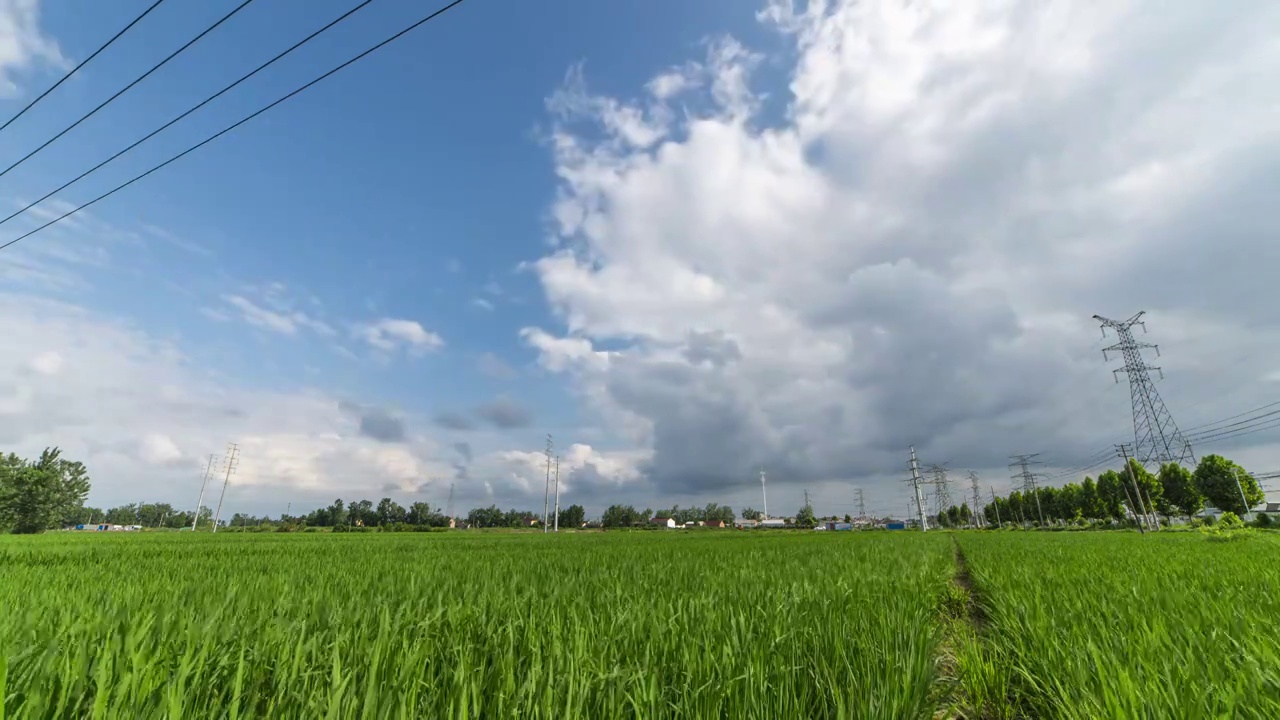 田园风光视频素材