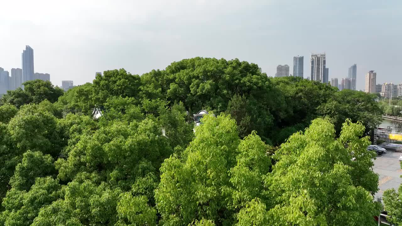 武汉光谷广场视频素材