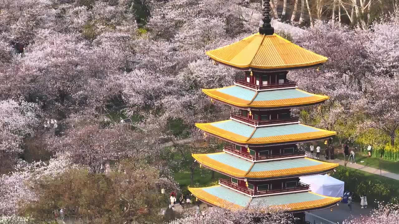 武汉光谷广场视频下载