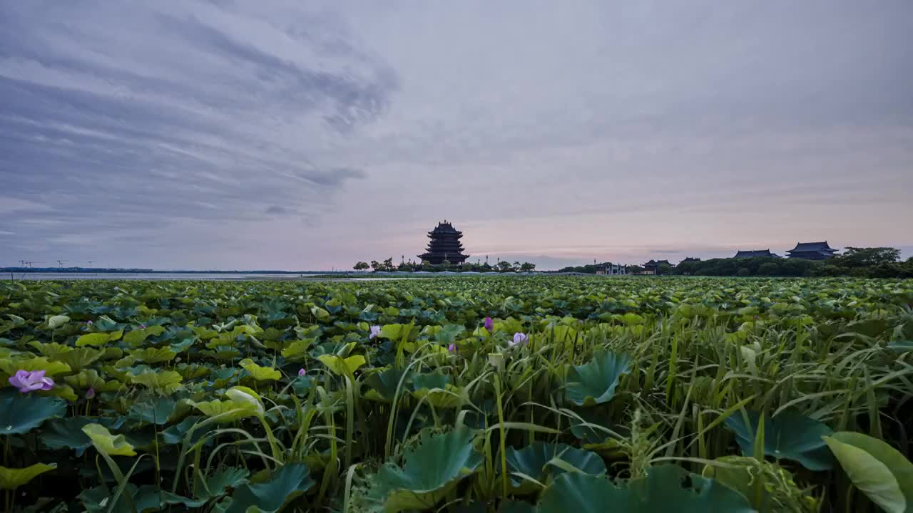 苏州阳澄湖重元寺超级日落晚霞视频素材