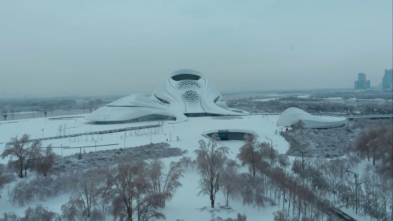 雪中静默的哈尔滨大剧院视频下载