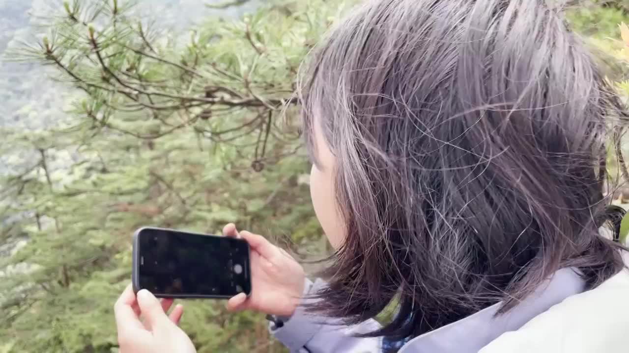 登山者面对悬崖峭壁拍照，外面是松树和大山视频下载