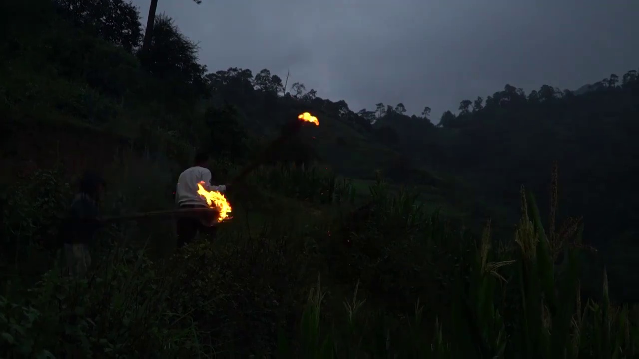 火把节，父子俩晚上举着火把巡山视频素材