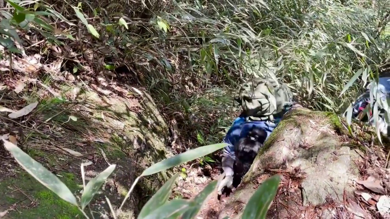 登山者在两个石头的缝隙中小心下山视频素材