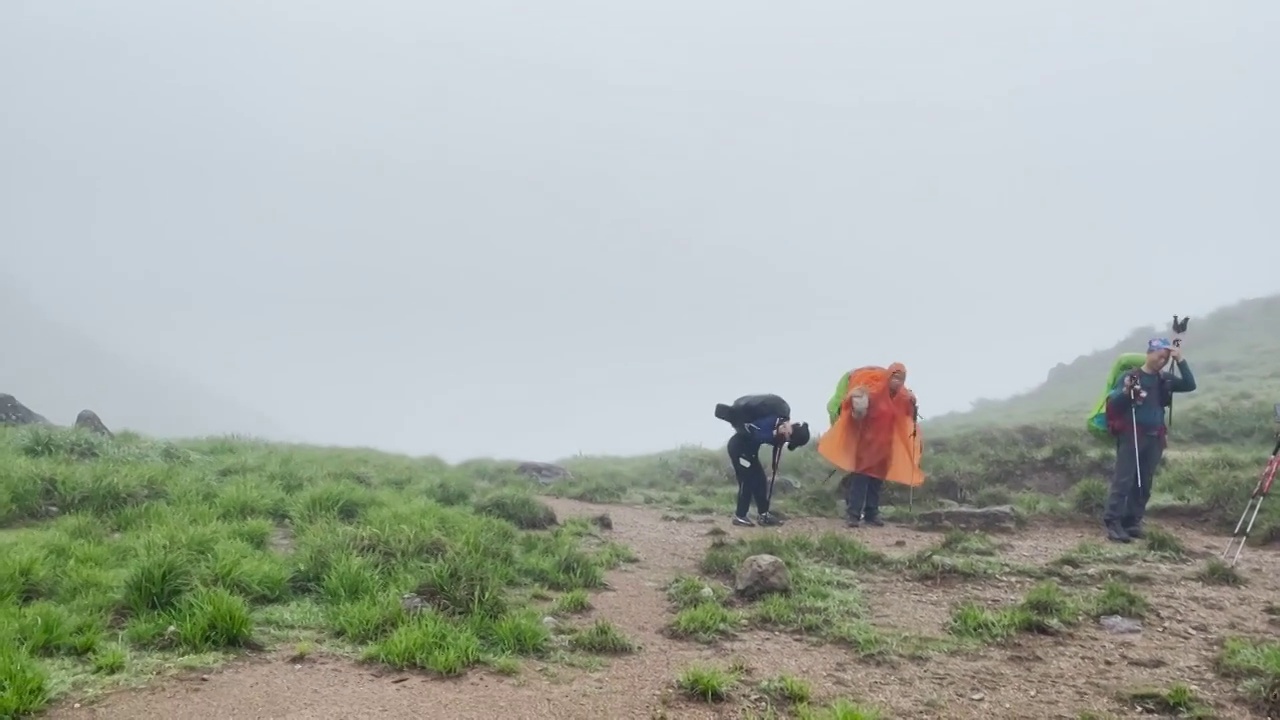 高山草甸，一群登山者正在上山视频素材