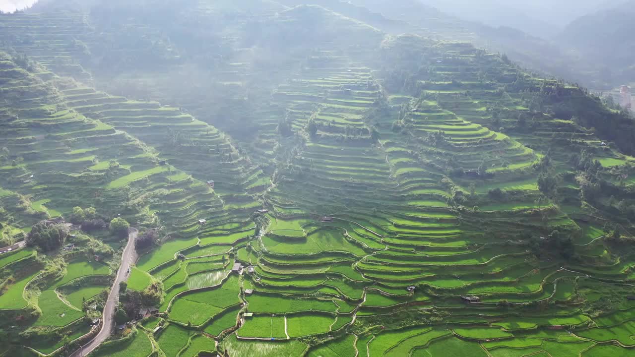 西江千户苗寨梯田视频素材