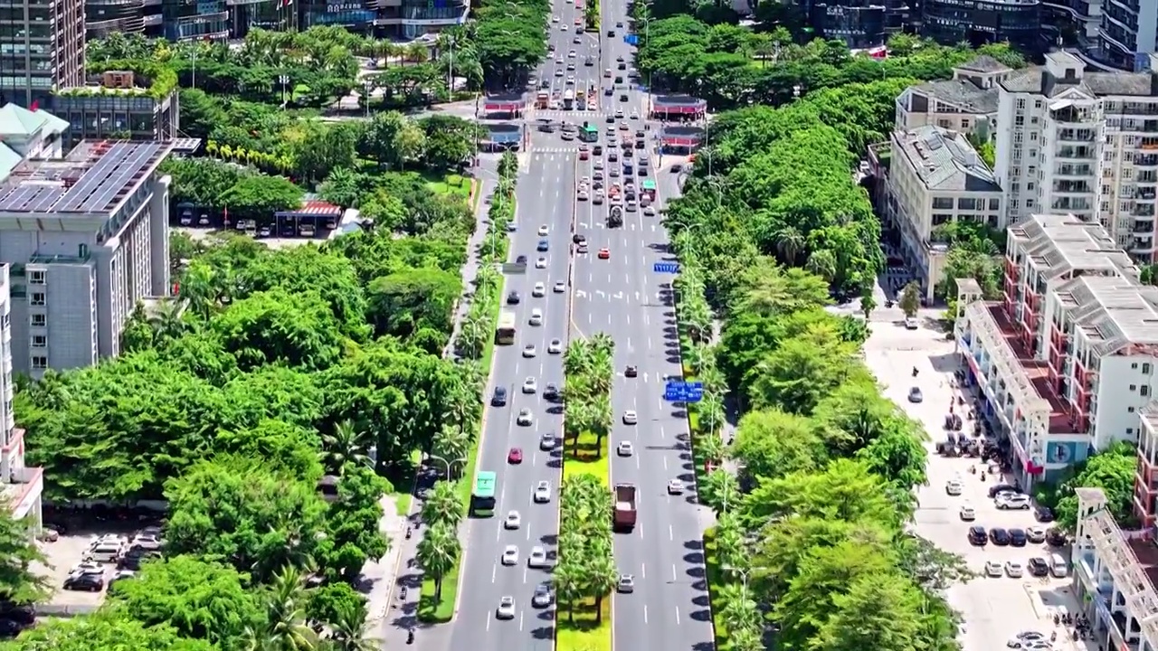 城市道路车来车往视频素材