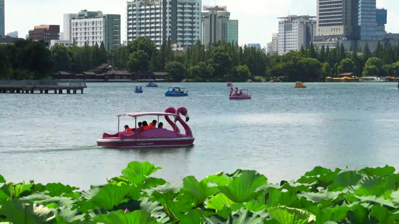 南京玄武湖风景 荷花与游船视频素材