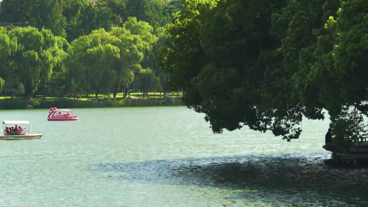 南京玄武湖风景 湖畔与游船视频素材