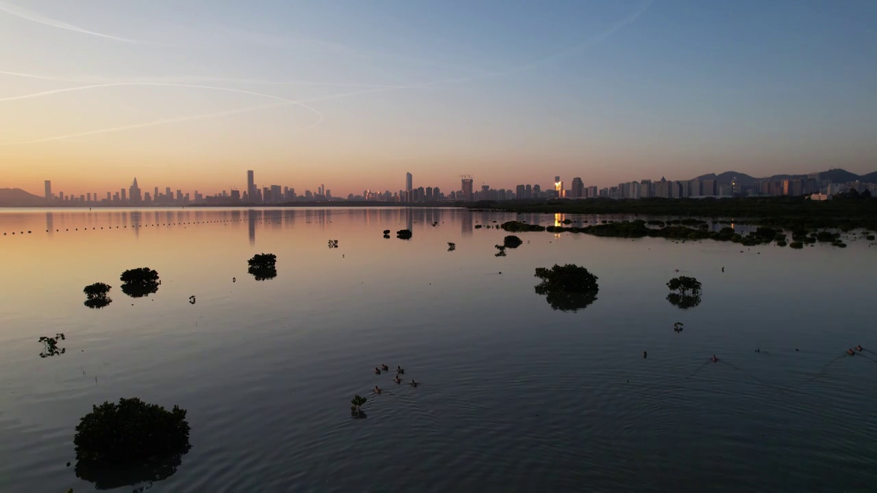 深圳福田红树林湿地公园保护区夕阳广角航拍视频素材