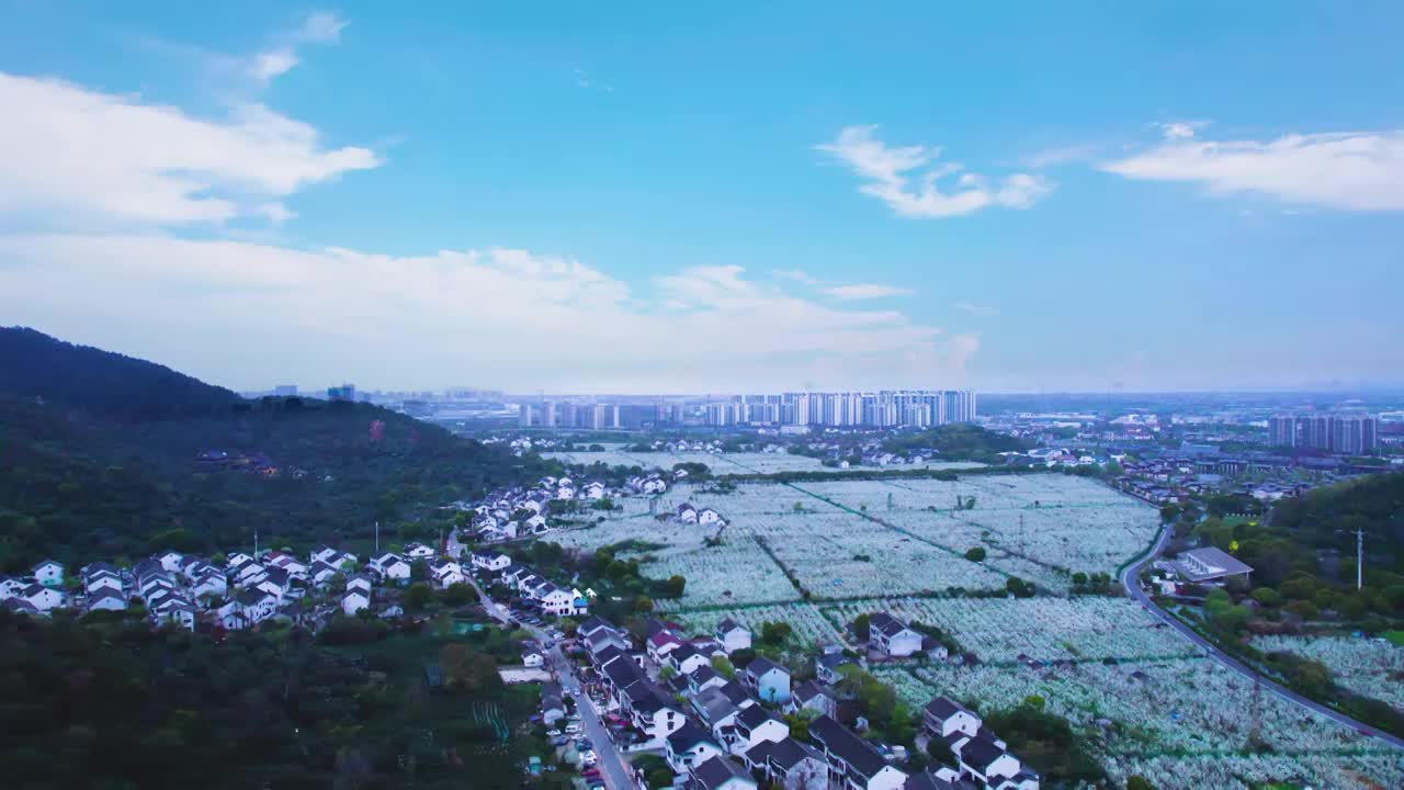 无人机航拍鸟瞰苏州树山翠冠梨果园基地梨园春天梨花盛开的景象视频素材