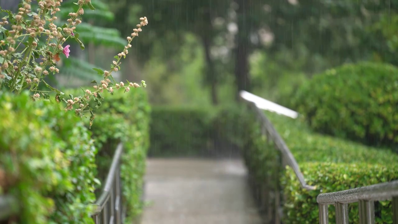 住宅小区下雨天视频素材