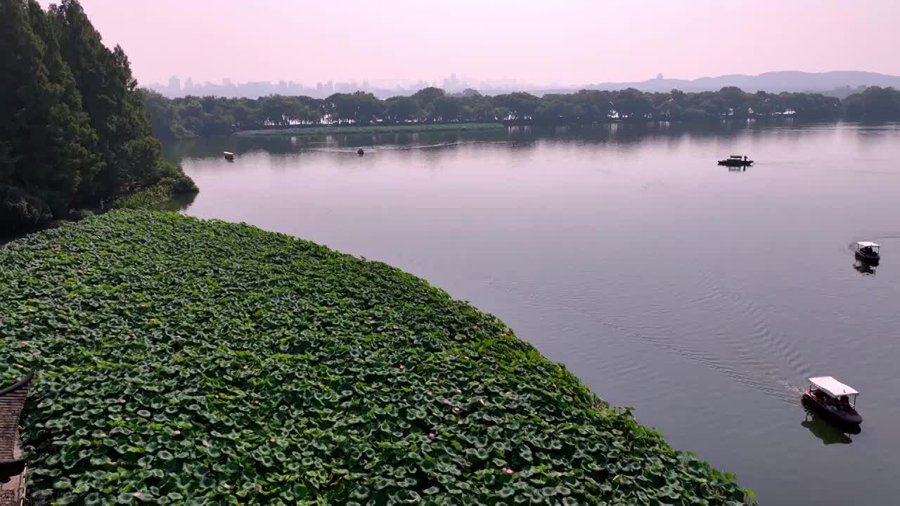 航拍夏季西湖风光视频素材