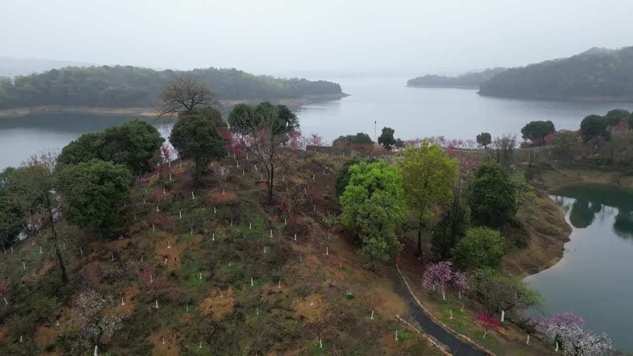 庐山西海桃花岛视频素材