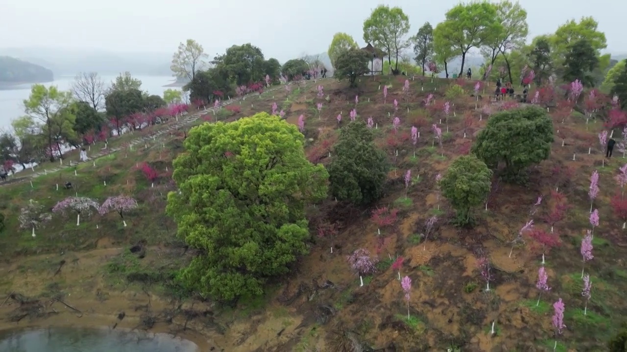 庐山西海桃花岛视频素材