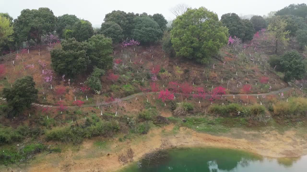 庐山西海桃花岛视频素材