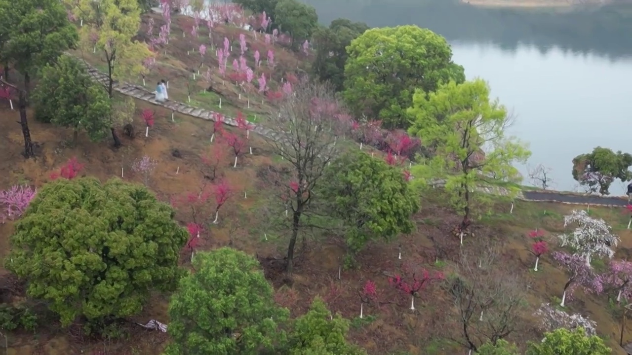 庐山西海桃花岛视频素材