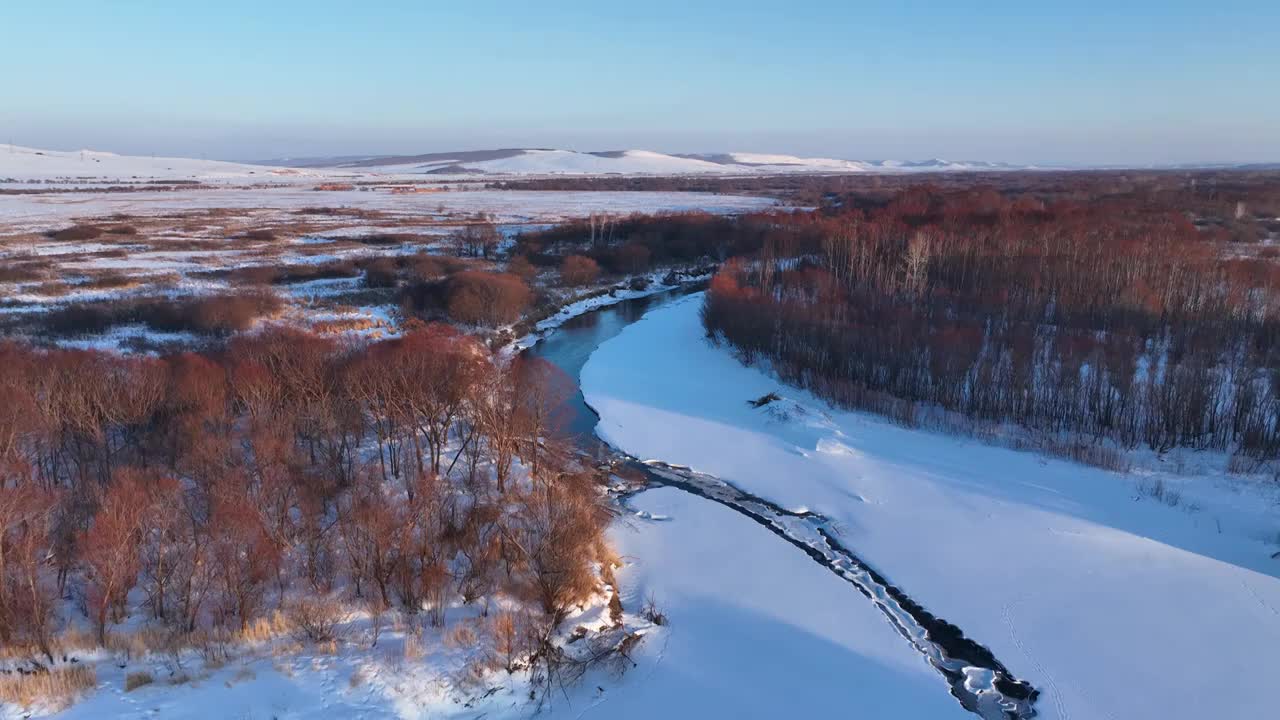 内蒙古雪原扎敦河丛林雾凇视频素材