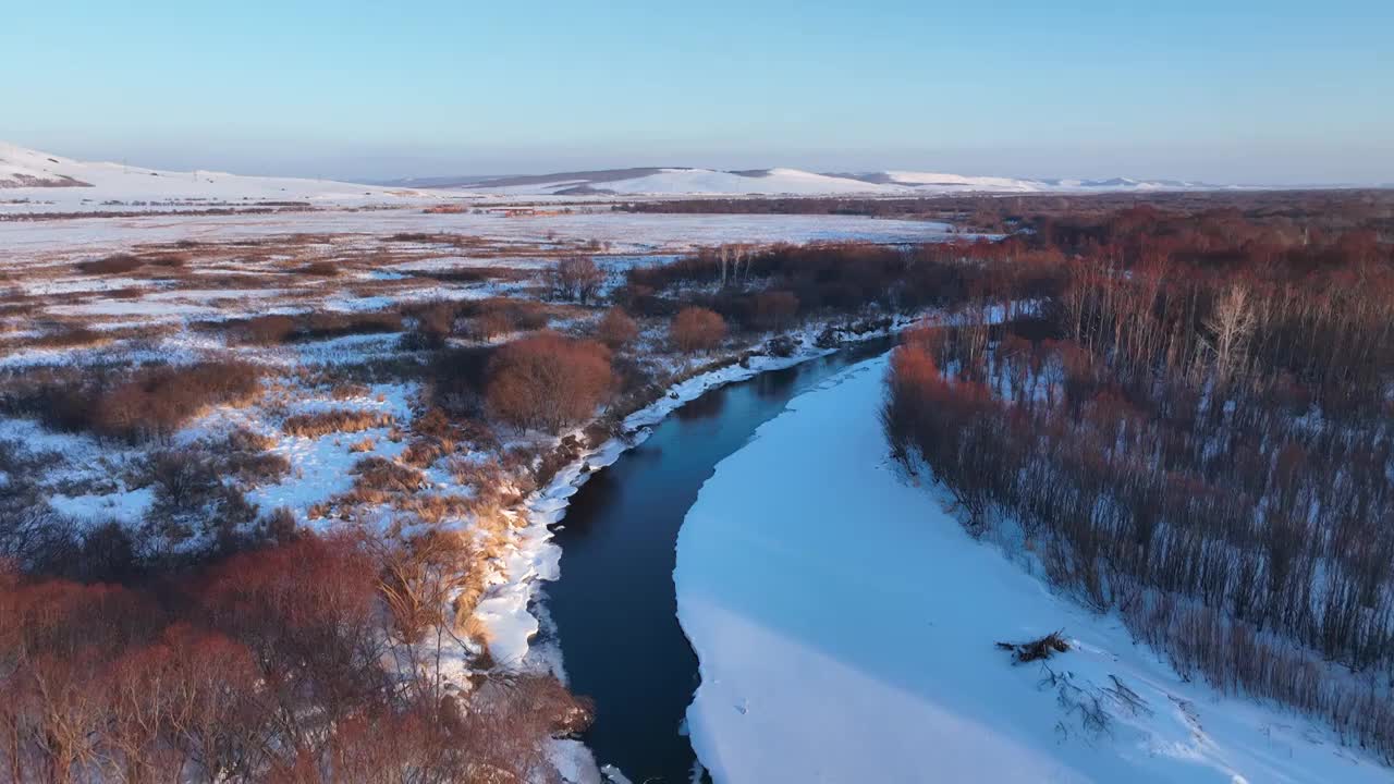 内蒙古雪原扎敦河丛林雾凇视频素材