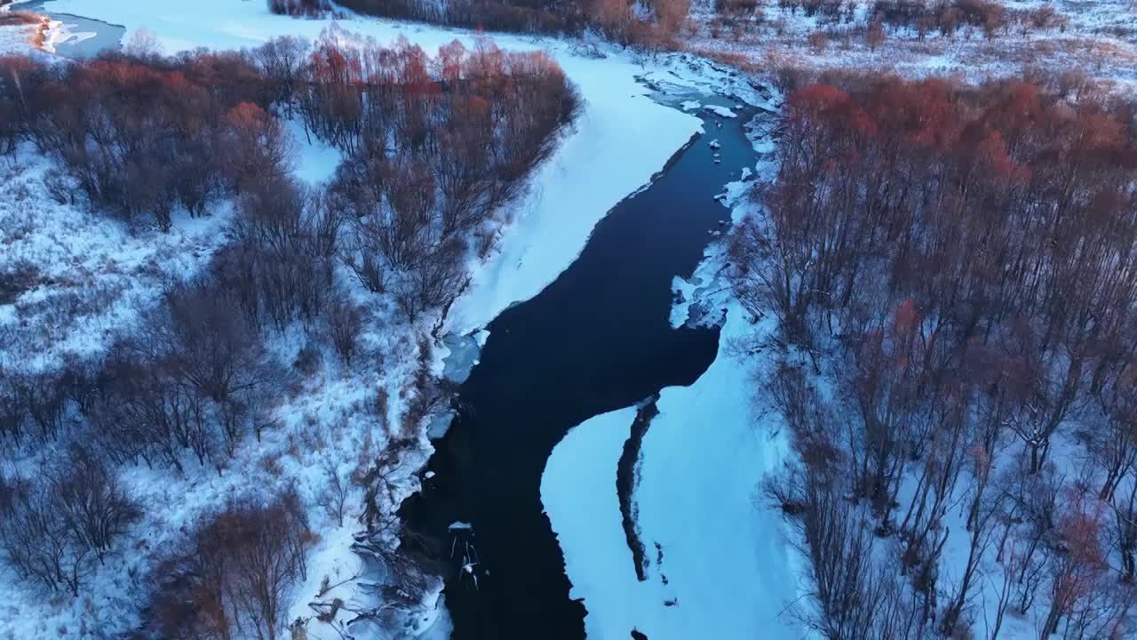 内蒙古雪原扎敦河丛林雾凇视频素材