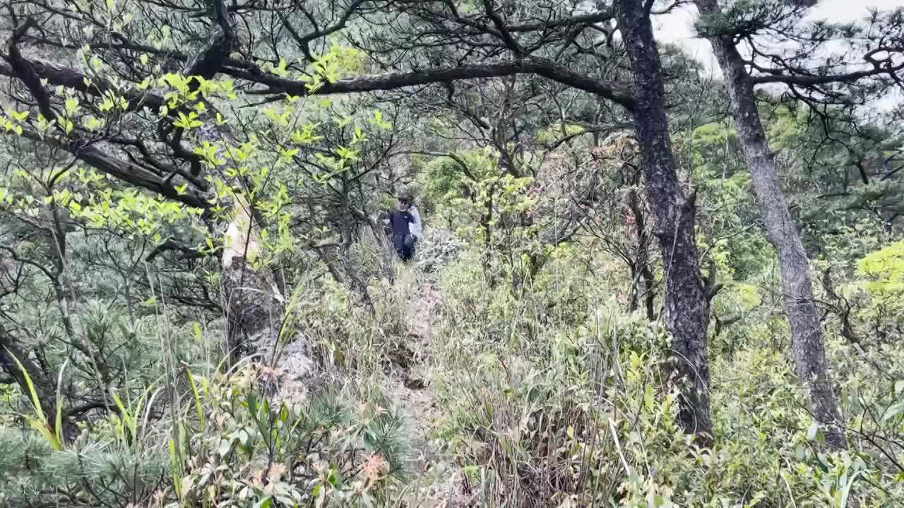 正面拍摄登山者下山由远及近视频下载