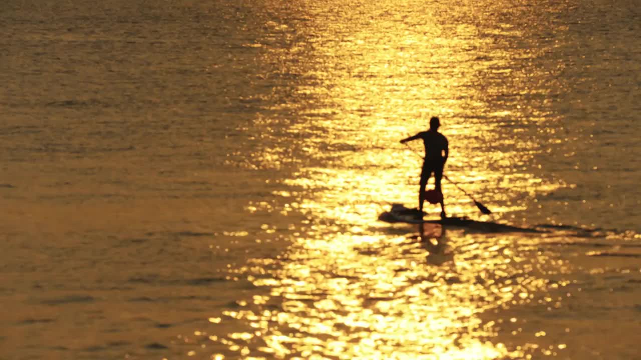 一个男人浆板运动在金色的夕阳下波光粼粼的水面上滑动失焦视频下载