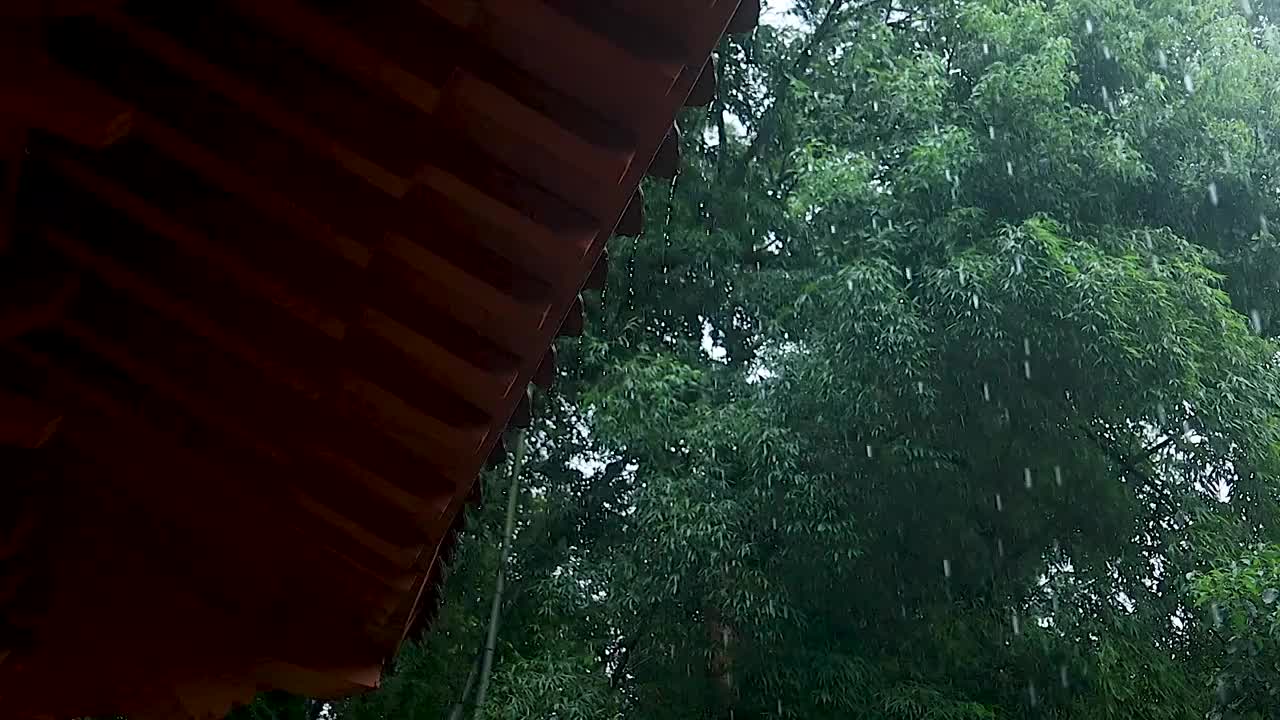 雨滴从屋檐上滴落的姿态视频素材