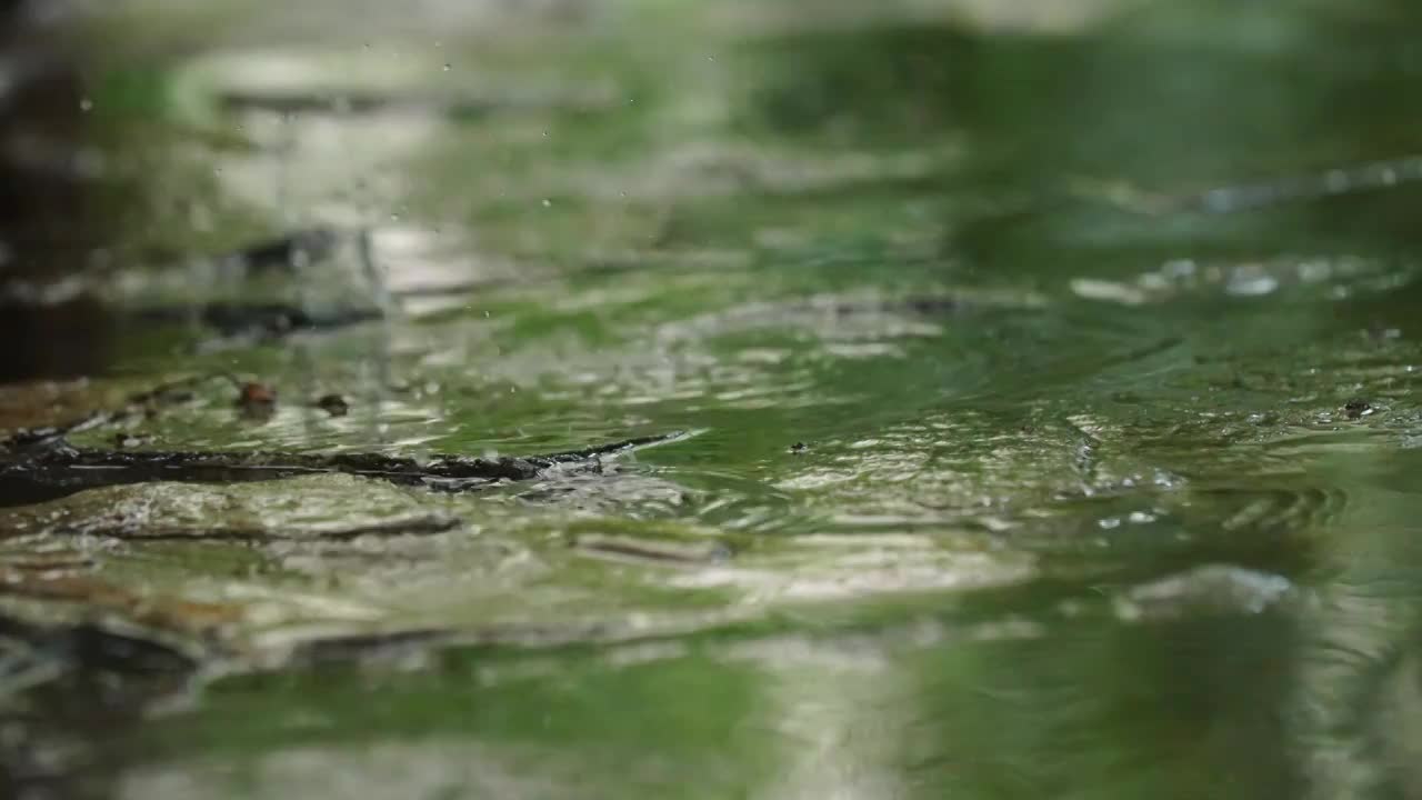 下雨天雨水雨滴落在积水的路面上视频素材