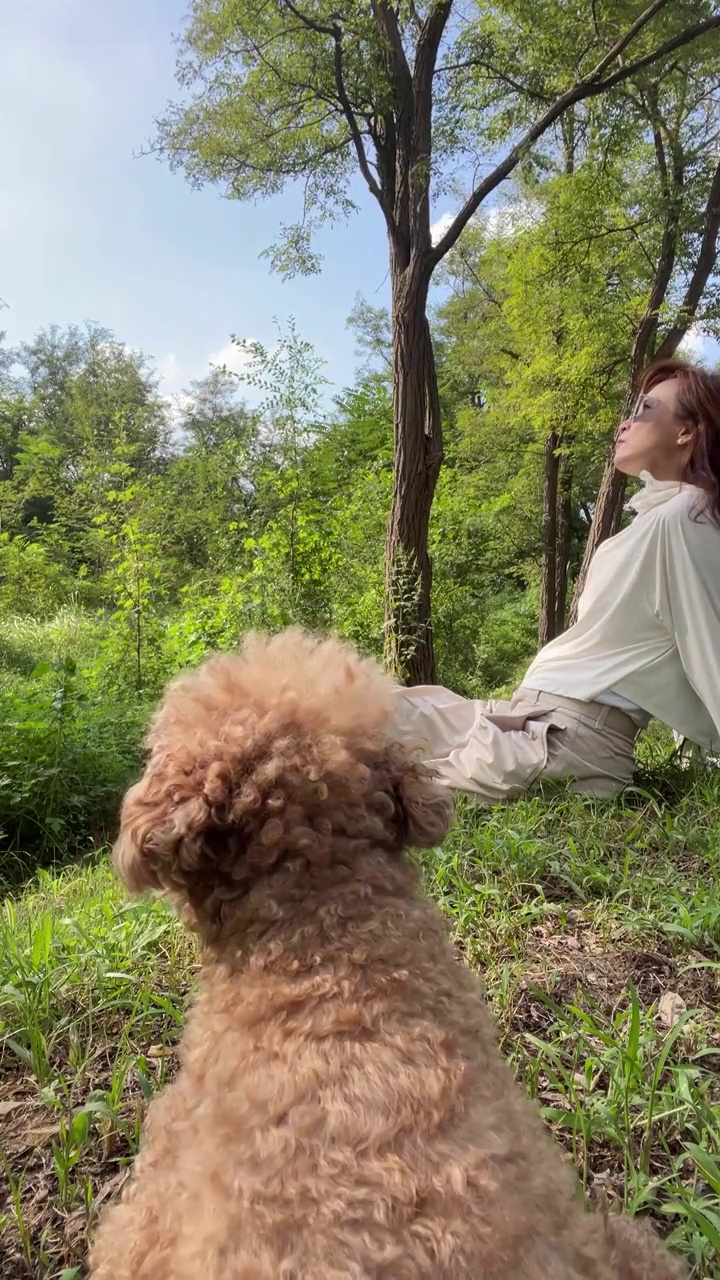 一个点穿防晒服的女人和泰迪犬坐在林间草地上视频素材