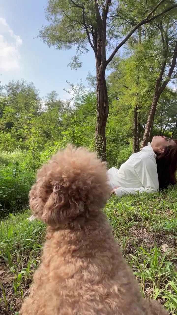 一个点穿防晒服的女人和泰迪犬坐在林间草地上视频素材