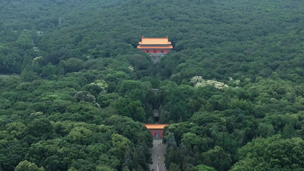 南京紫金山明孝陵夏天绿色森林视频素材