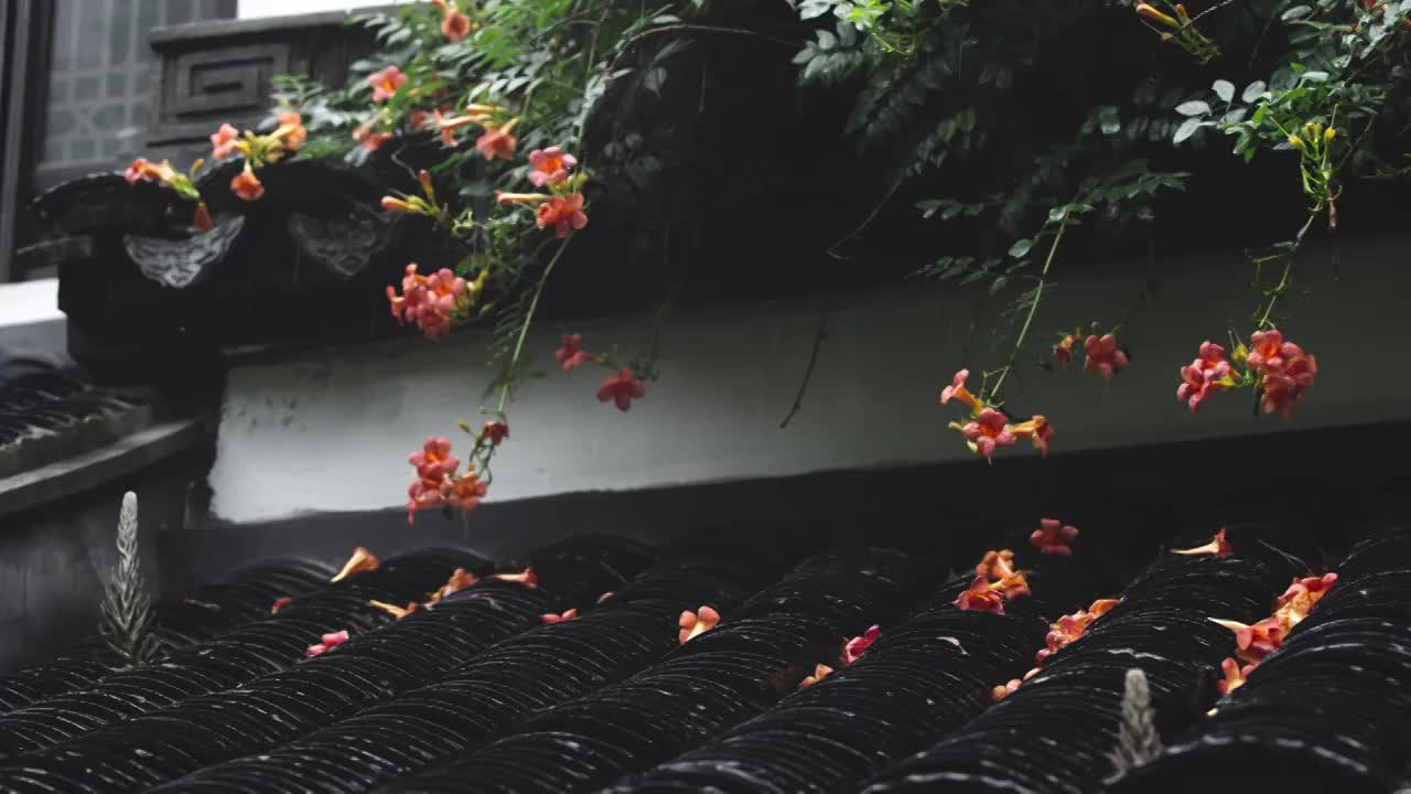 下雨天雨水落在树叶上江南园林雨中即景水面雨滴绿叶雨珠视频素材