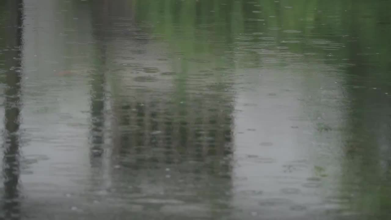 下雨天雨水落在树叶上江南园林雨中即景水面雨滴绿叶雨珠视频素材