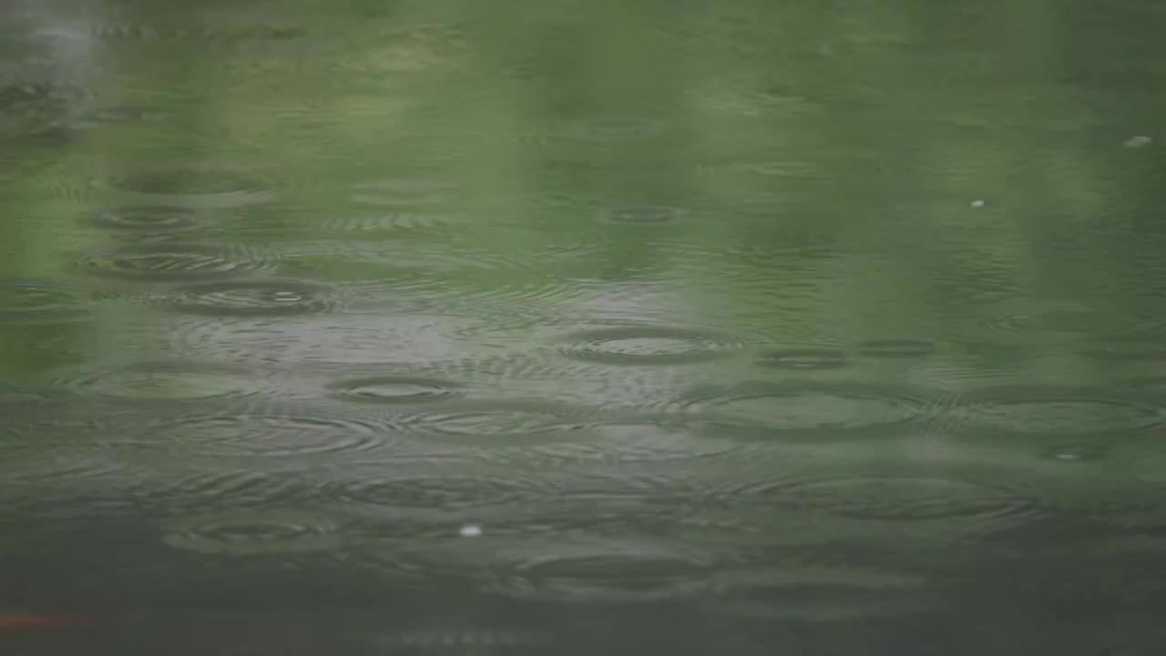 下雨天雨水落在树叶上江南园林雨中即景水面雨滴绿叶雨珠视频素材