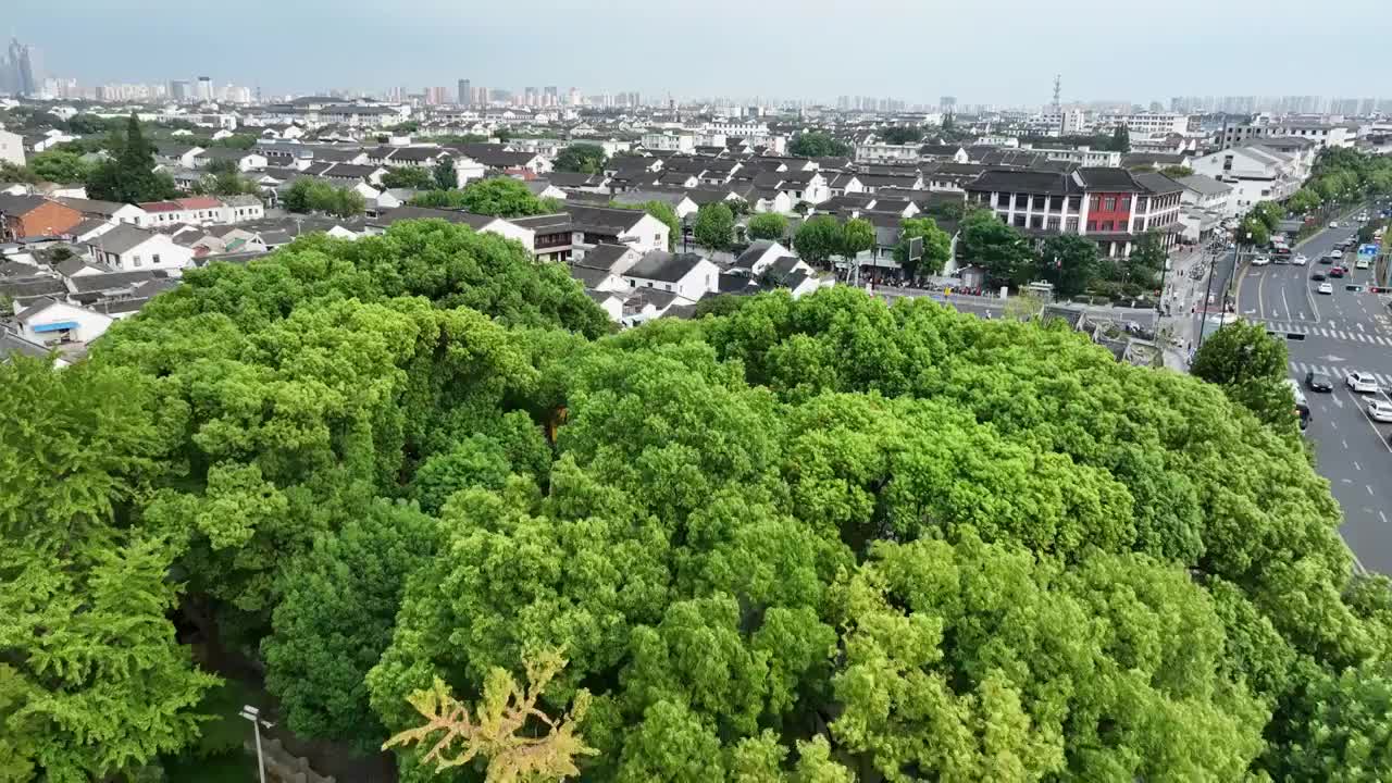 苏州城市风景航拍，历史文化景区报恩寺北寺塔，标志性建筑地标建筑城市天际线视频素材