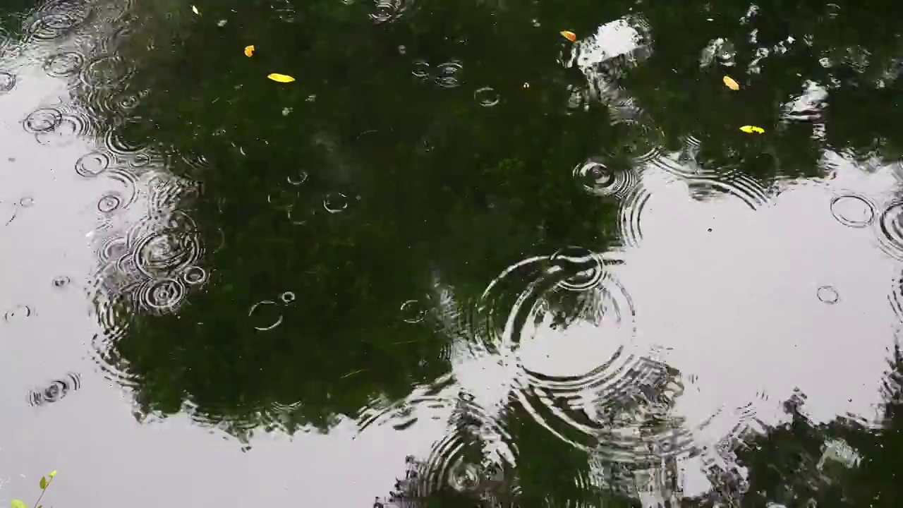 下雨水面雨滴慢镜头，涟漪波纹反射诗意，江南水乡苏州园林视频素材