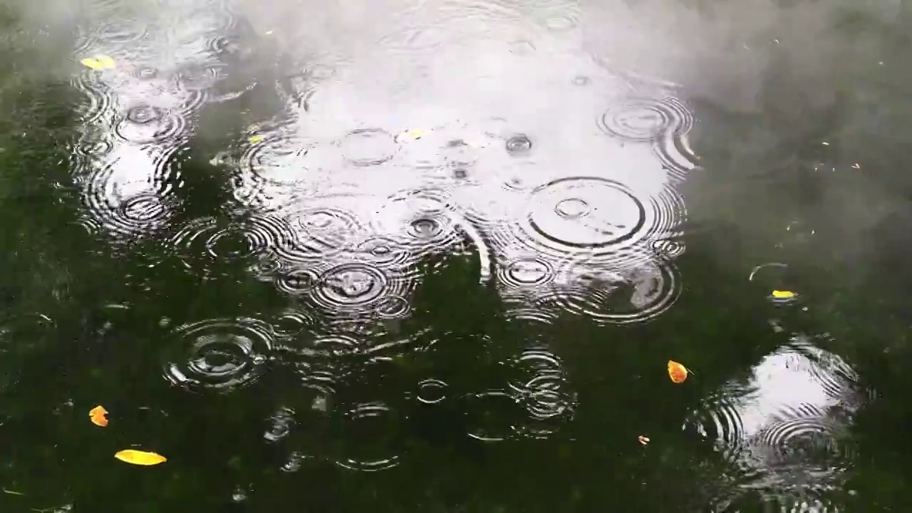 下雨水面雨滴慢镜头，涟漪波纹反射诗意，江南水乡苏州园林视频素材