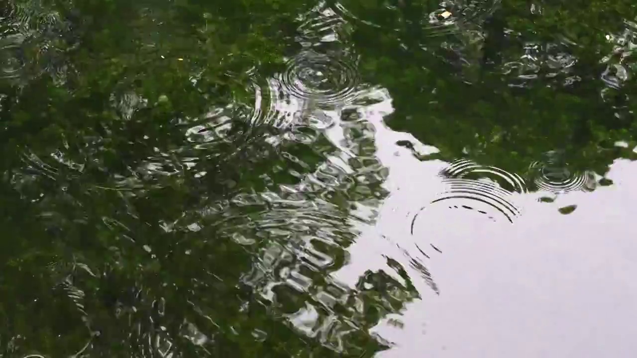 下雨水面雨滴慢镜头，涟漪波纹反射诗意，江南水乡苏州园林视频素材