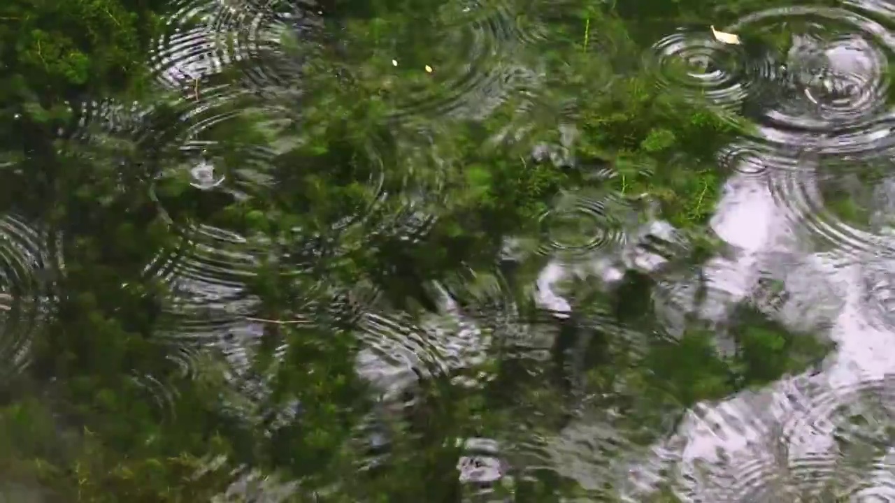 下雨水面雨滴慢镜头，涟漪波纹反射诗意，江南水乡苏州园林视频素材