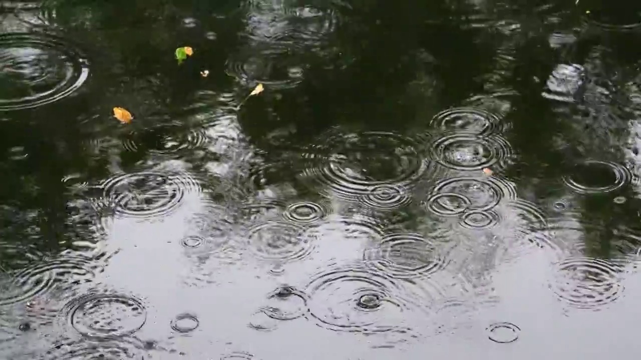 下雨水面雨滴慢镜头，涟漪波纹反射诗意，江南水乡苏州园林视频素材