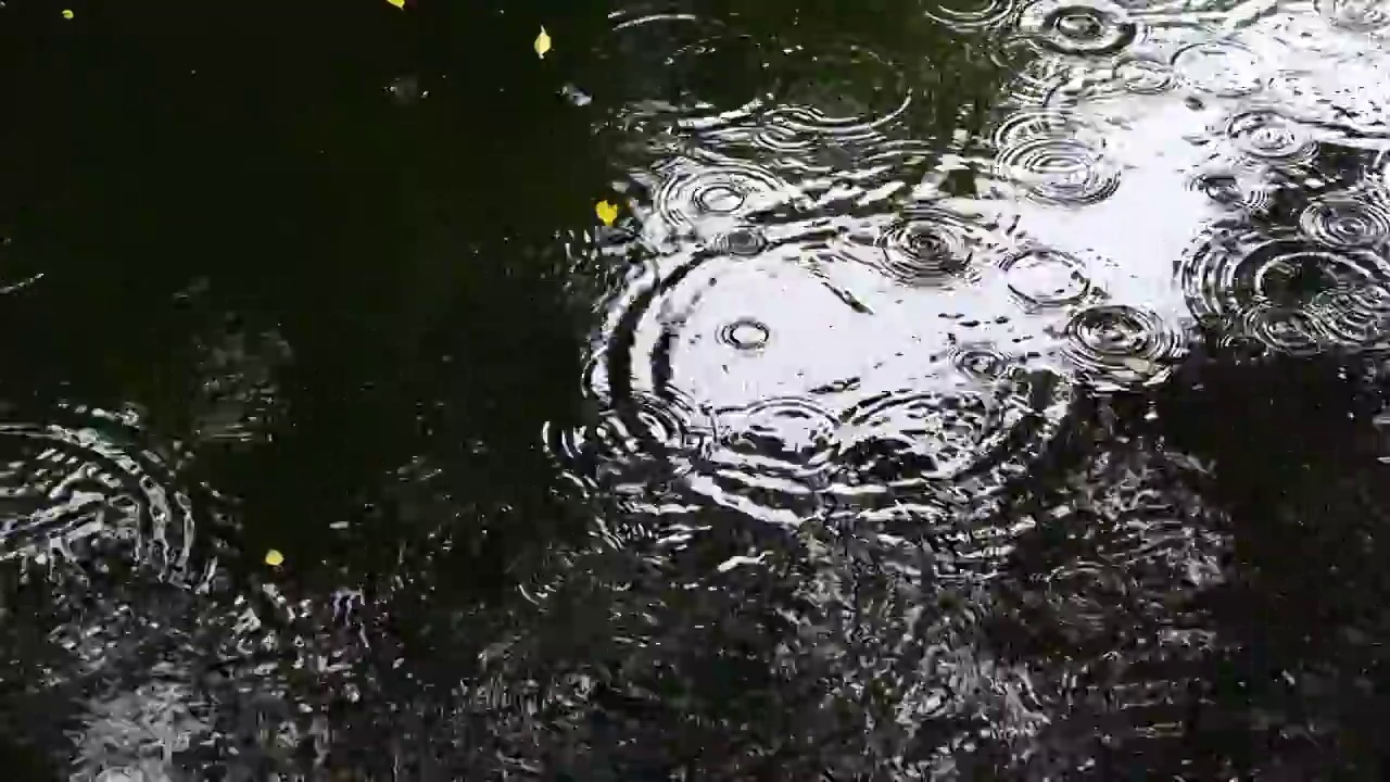 下雨水面雨滴慢镜头，涟漪波纹反射诗意，江南水乡苏州园林视频素材