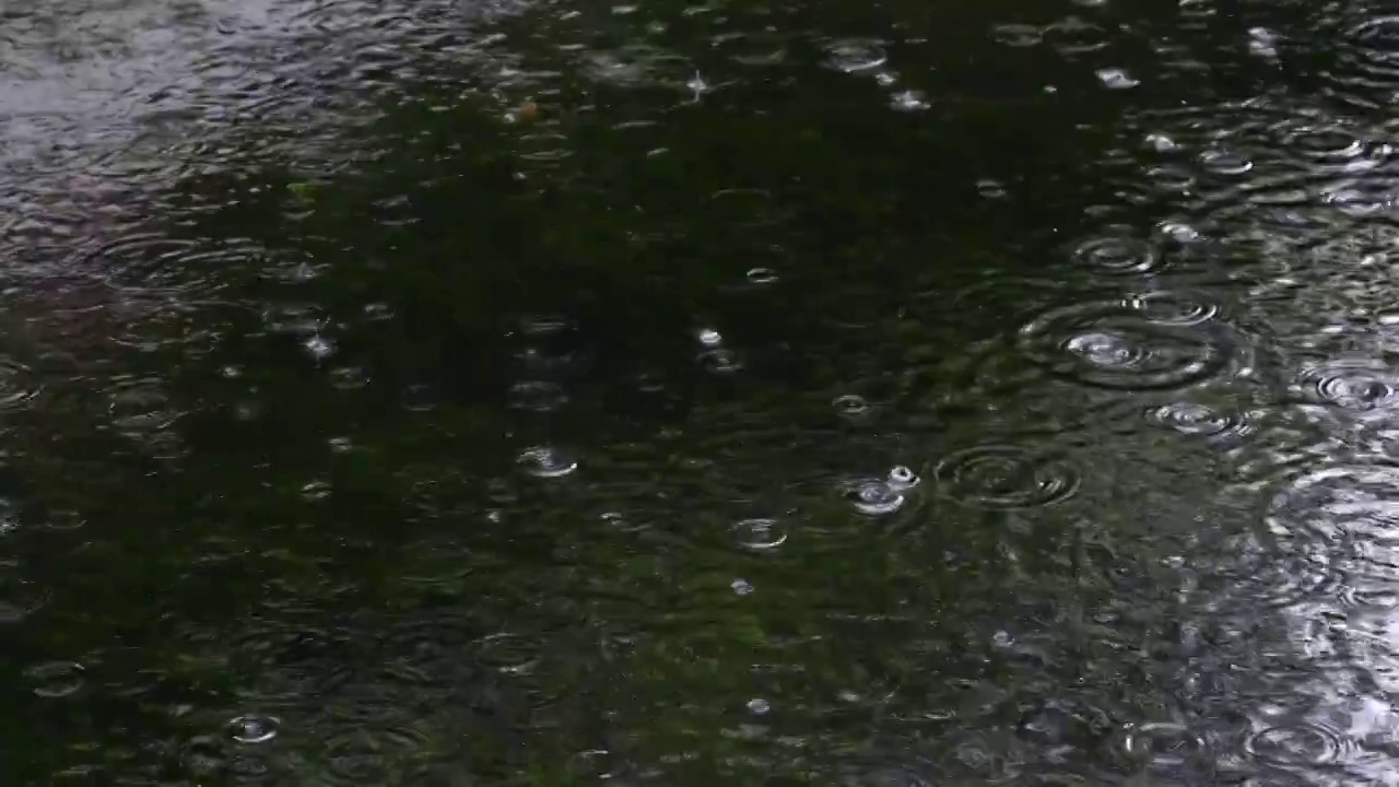 下雨水面雨滴慢镜头，涟漪波纹反射诗意，江南水乡苏州园林视频素材