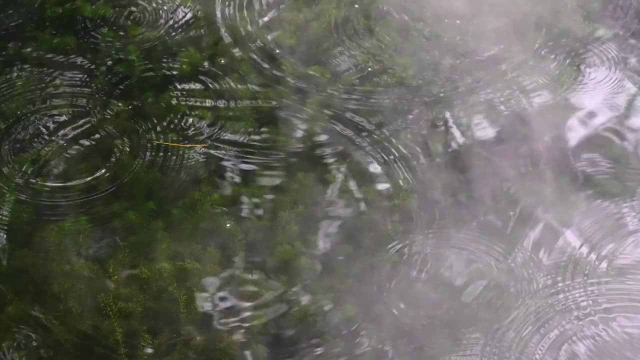 下雨水面雨滴水雾慢镜头，涟漪波纹反射诗意，江南水乡苏州园林视频素材