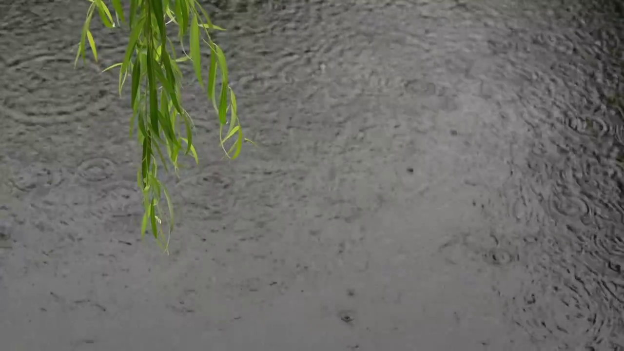 下雨水面雨滴慢镜头，涟漪波纹反射诗意，柳枝前景空镜江南水乡苏州园林视频素材